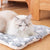 Coussin chat doux et lavable pour toutes tailles