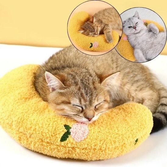Coussin orthopédique chat moelleux et relaxant