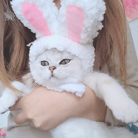 Deguisement Lapin pour Chat La Patte Velue 2