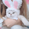 Deguisement Lapin pour Chat La Patte Velue 2