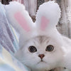 Deguisement Lapin pour Chat La Patte Velue 3