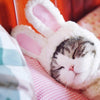 Deguisement Lapin pour Chat La Patte Velue 4