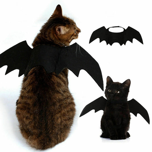 Deguisement chauve-souris La Patte Velue