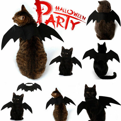 Deguisement chauve-souris La Patte Velue 1