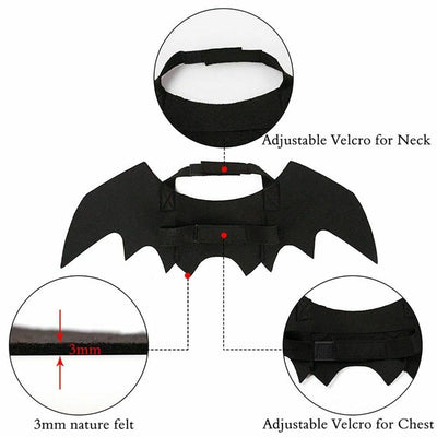 Deguisement chauve-souris La Patte Velue 2