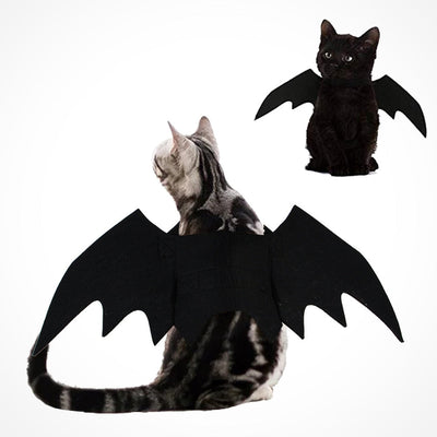 Deguisement chauve-souris La Patte Velue 3