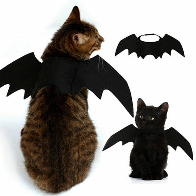 Deguisement chauve-souris La Patte Velue