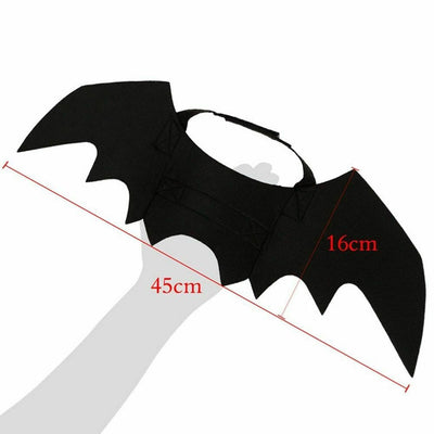 Deguisement chauve-souris La Patte Velue 4