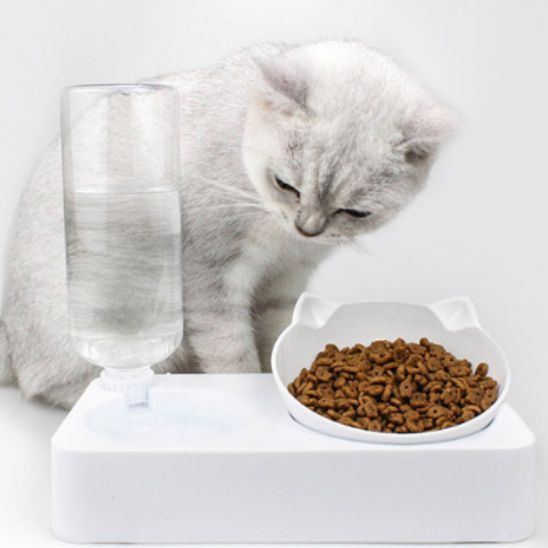Distributeur Eau pour Chat La Patte Velue
