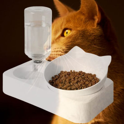 Distributeur Eau pour Chat La Patte Velue 3