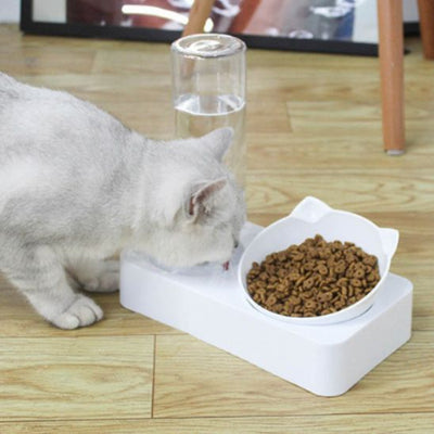 Distributeur Eau pour Chat La Patte Velue