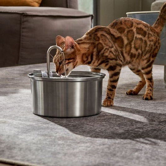 Fontaine A Eau Chat | La Solution Ultime pour l'Hydratation