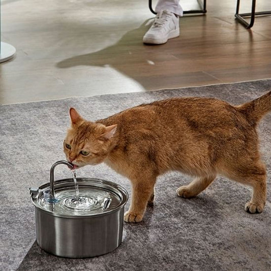 Fontaine A Eau Chat | La Solution Ultime pour l'Hydratation