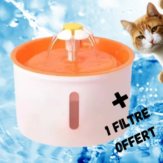 Fontaine Anti Stagnation La Patte Velue 3