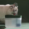 Fontaine Automatique Chats Exigeants La Patte Velue 1