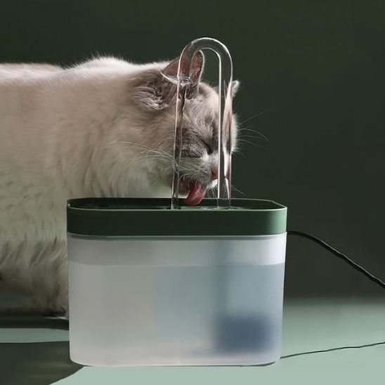 Fontaine Automatique Chats Exigeants La Patte Velue