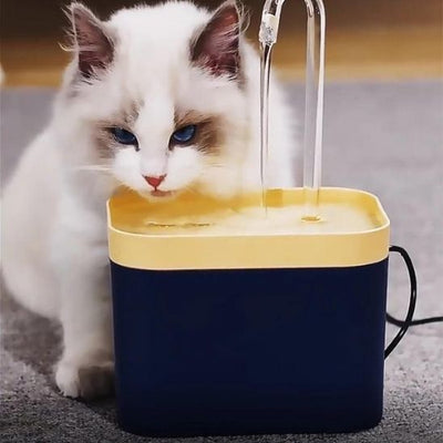 Fontaine Automatique Chats Exigeants La Patte Velue