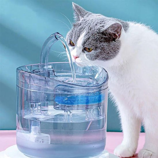 Fontaine Filtrante Chat La Patte Velue
