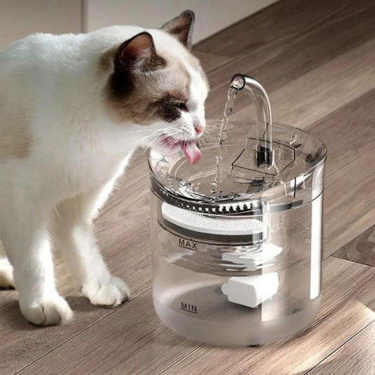 Fontaine Filtrante Chat La Patte Velue 1