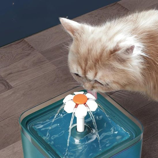 Fontaine à eau chat avec LED La Patte Velue