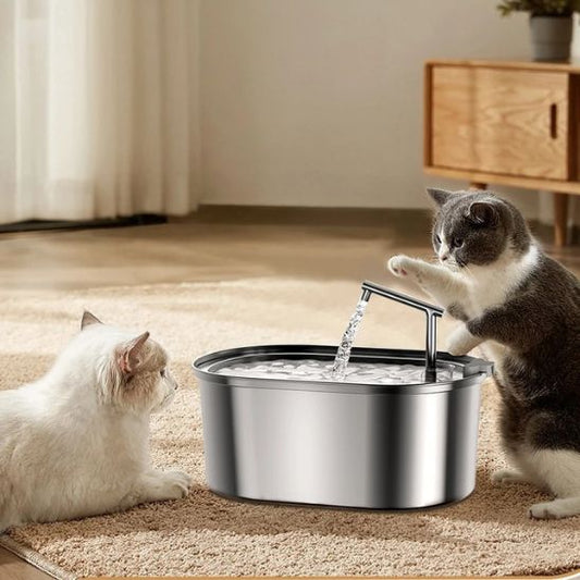 Fontaine eau chat avec filtre La Patte Velue 