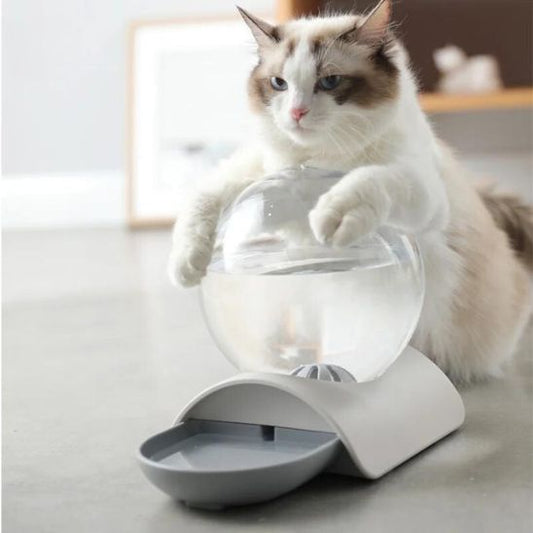 Fontaine à eau chat sans electricite La Patte Velue