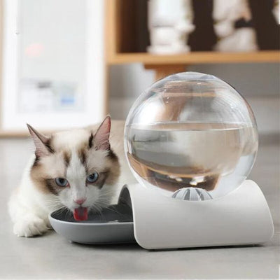 Fontaine à eau chat sans electricite La Patte Velue 1