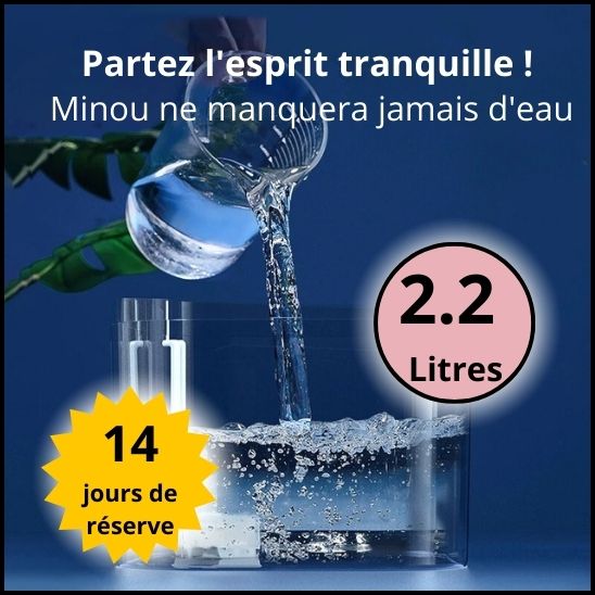 Fontaine eau elegante econome La Patte Velue 3