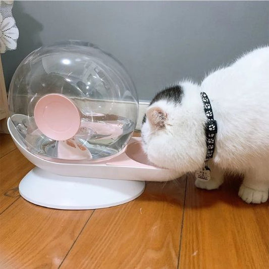 Fontaine écologique et silencieuse pour chat