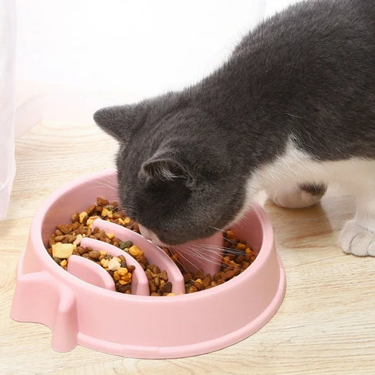 Gamelle Anti Obesite Pour Chat La Patte Velue