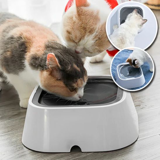 Gamelle Chat Anti Eclaboussures La Patte Velue 2