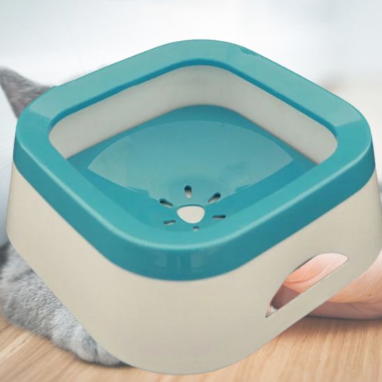Gamelle Chat Anti Eclaboussures La Patte Velue 4
