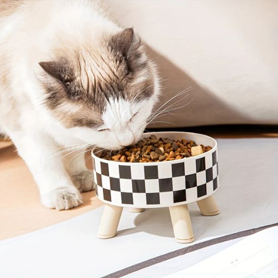 Gamelle Chat Antiderapante La Patte Velue 1