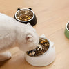 Gamelle Inclinee pour Chat La Patte Velue 3