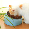 Gamelle Inclinee pour Chat La Patte Velue 6