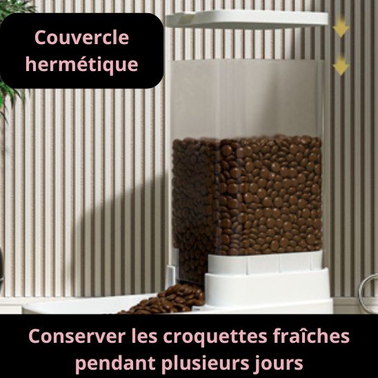 Gamelle Intelligente pour Chats La Patte Velue 3