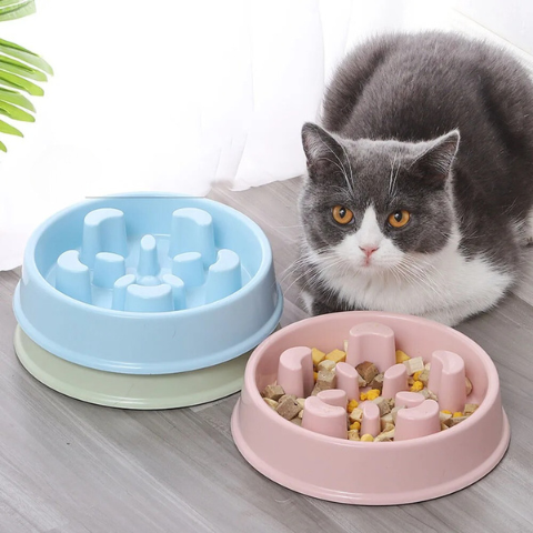 Gamelle Interactive Chat La Patte Velue