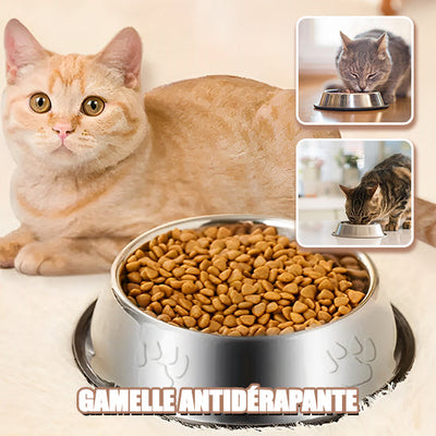 Gamelle en inox La Patte Velue 2