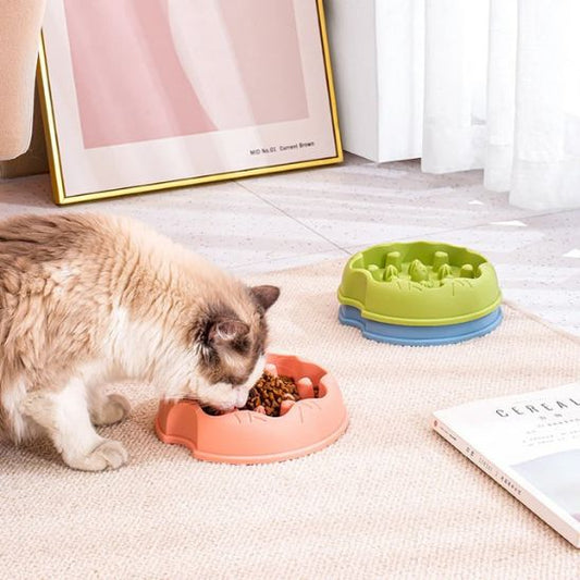 Gamelle puzzle pour chat La Patte Velue