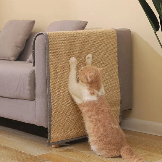 Griffoir Chat Tapis La Patte Velue 2