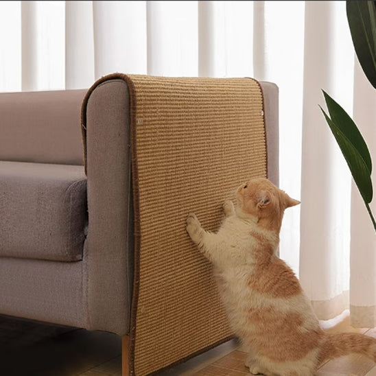 Griffoir Chat Tapis La Patte Velue 3