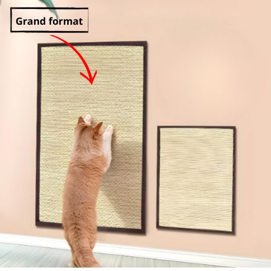 Griffoir Chat Tapis La Patte Velue 4