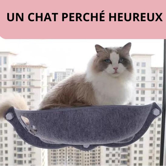 Hamac Chat Fenetre La Patte Velue