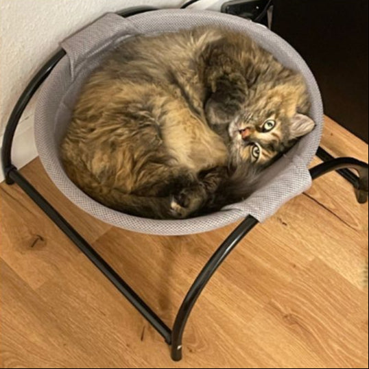 Hamac pour Chat La Patte Velue 3