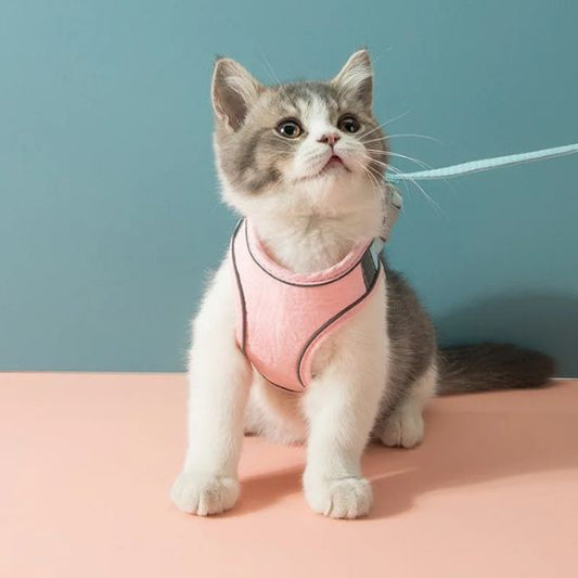 Harnais Chat Ajustable La Patte Velue