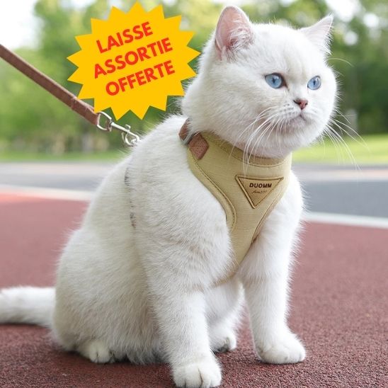 Harnais Chat Anti Fugue La Patte Velue