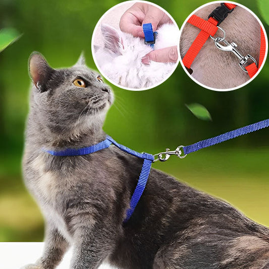 Harnais Chat Anti Fuite La Patte Velue