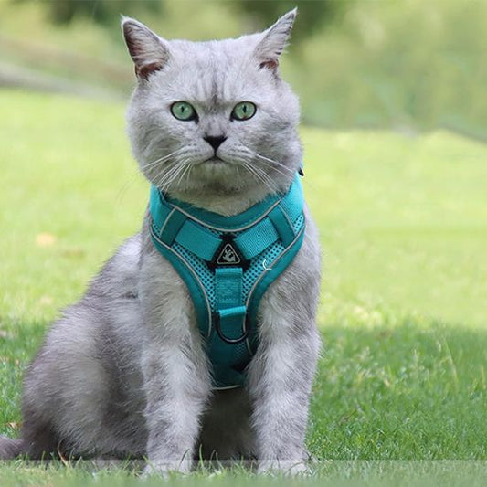 Harnais Chat Ergonomique La Patte Velue