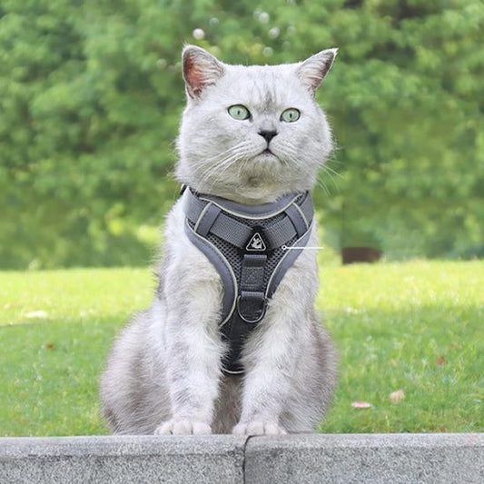 Harnais Chat Ergonomique La Patte Velue