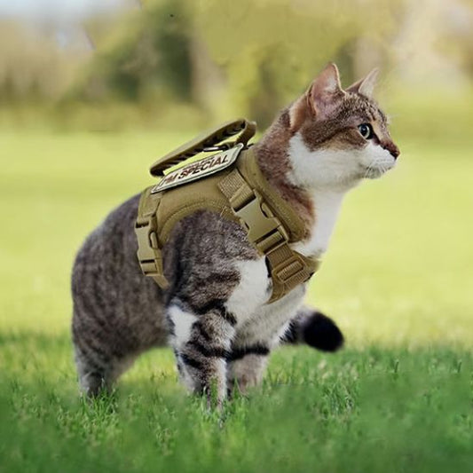 Harnais Chat Militaire La Patte Velue 